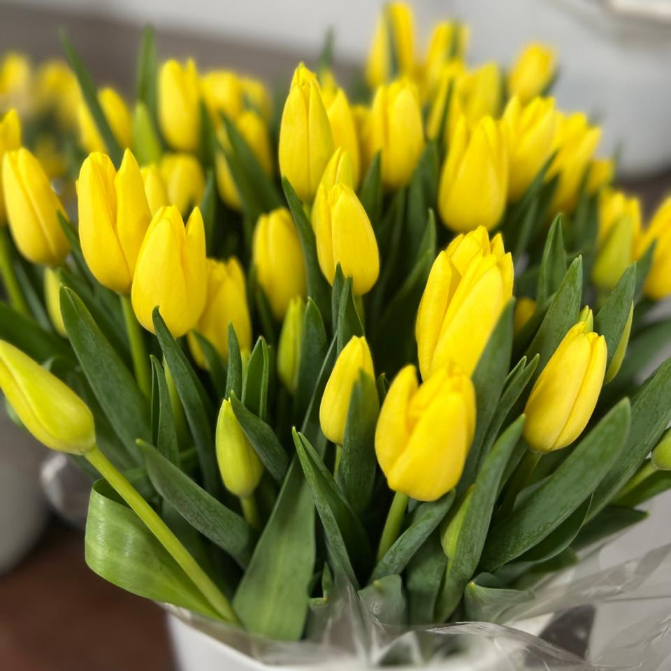 Bouquet de Tulipes