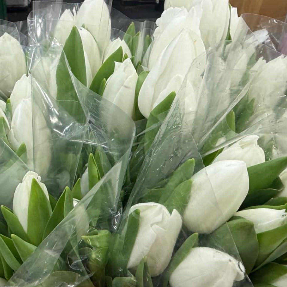 Bouquet de Tulipes