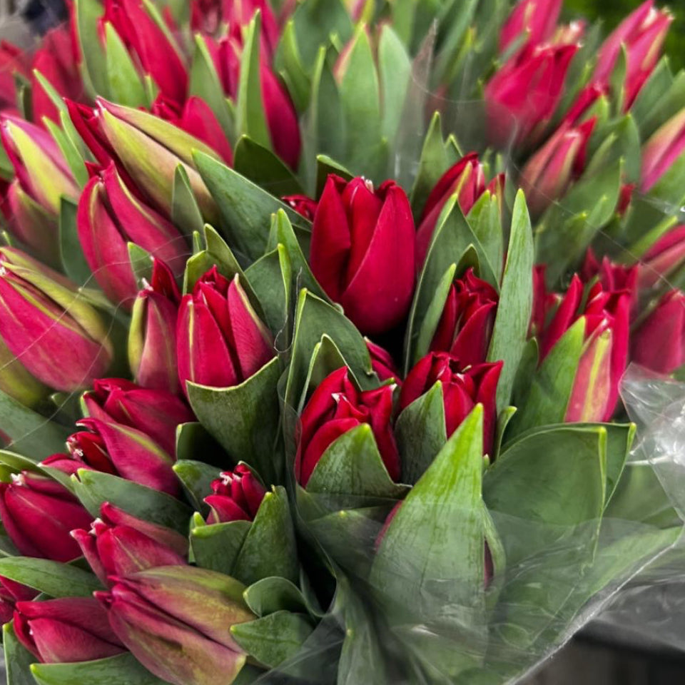 Bouquet de Tulipes