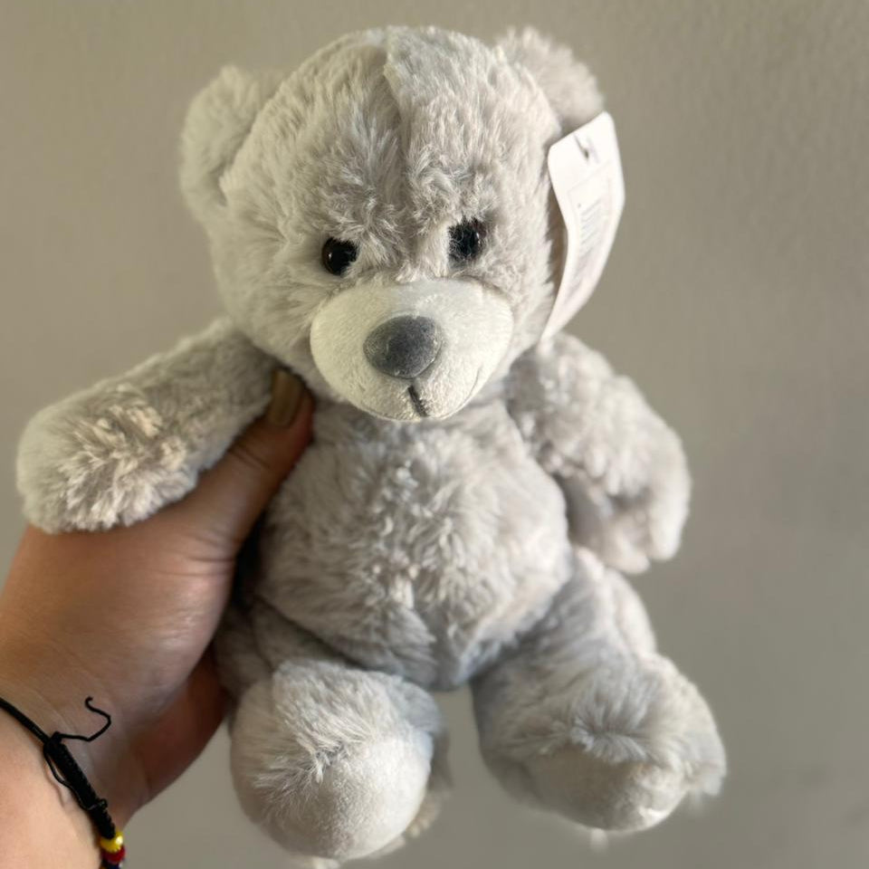 Teddy Gris