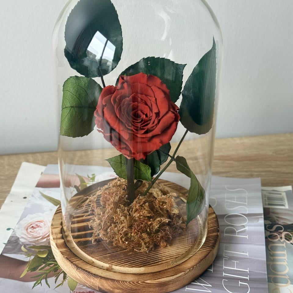 Rosas Preservadas