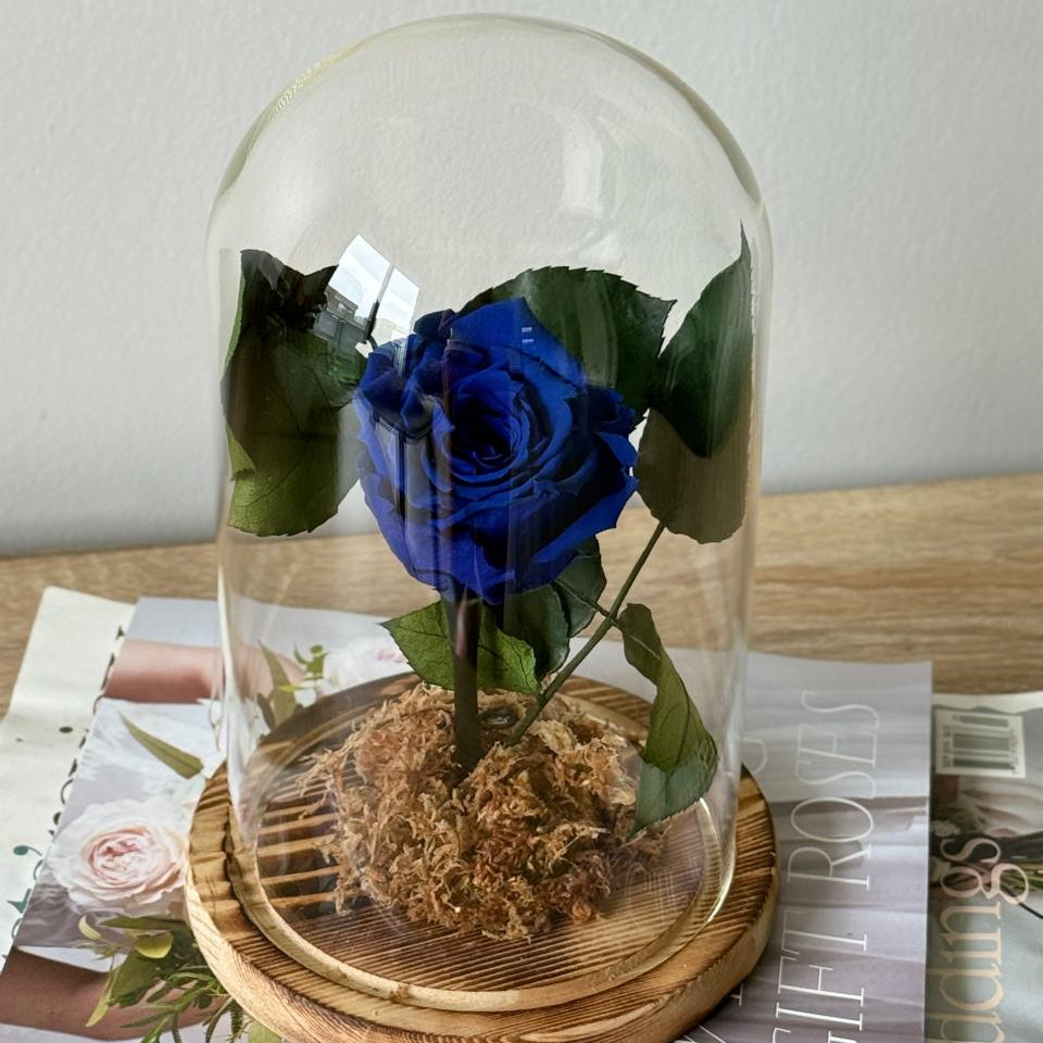 Rosas Preservadas