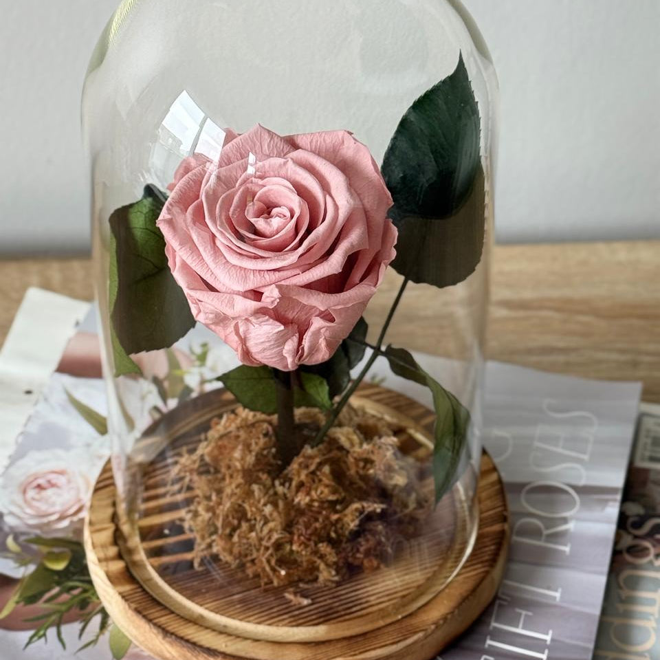 Rosas Preservadas