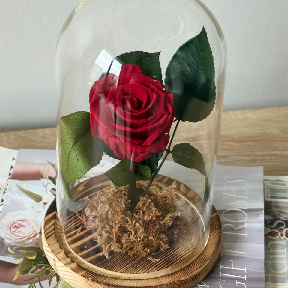 Rosas Preservadas